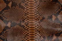 Python Skin Reticulated UB Lucido Caramel
