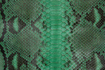 Python Skin Reticulated UB Lucido Emerald