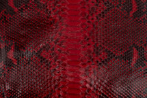 Python Skin Reticulated Lucido Red