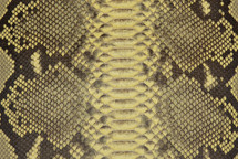 Python Skin Reticulated Matte Canary