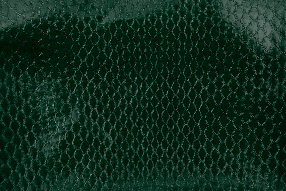 green snake skins 11