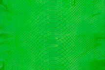 Python Skin Burmese Neon Green