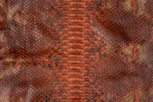 Python Skin Reticulated Rodeo Orange