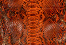 Python Skin Reticulated Sol Orange
