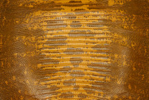 Lizard Skin Teju UB Glazed Lakers Yellow 30/34 cm
