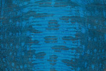 Lizard Skin Teju UB Matte Sky Blue 25/29 cm