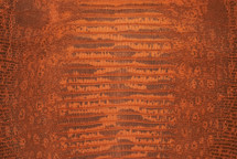 Lizard Skin Teju UB Matte Tangerine 25/29 cm
