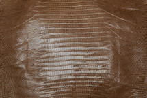 Lizard Skin Teju Glazed Camel 25/29 cm