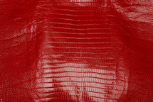 Lizard Skin Teju Glazed Flame Red 25/29 cm