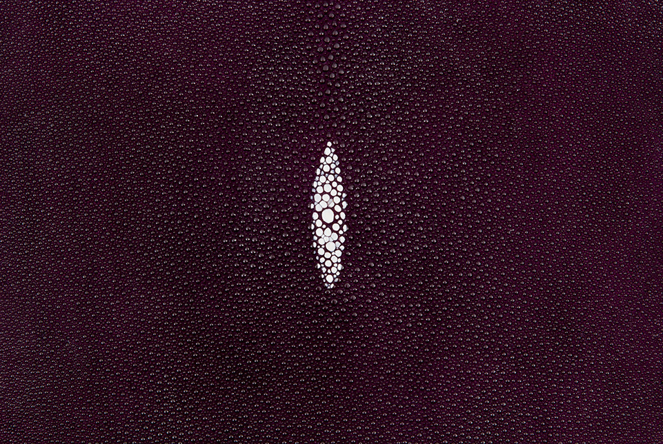 アミン ララ・ライ Stingray Skin Purple