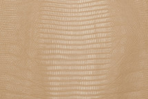 Lizard Skin Teju Matte Oryx 25/29 cm
