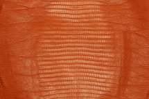 Lizard Skin Teju Matte Tangerine 25/29 cm