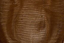 Lizard Skin Teju Matte Tapenade 25/29 cm