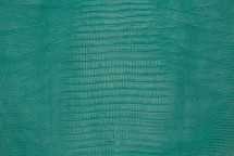 Lizard Skin Teju Ultramatte Aqua 25/29 cm