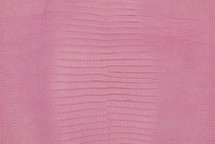 Lizard Skin Teju Ultramatte Baby Pink 25/29 cm