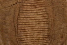 Lizard Skin Teju Ultramatte Crudo 25/29 cm