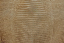 Lizard Skin Teju Waxed Parchment 25/29 cm
