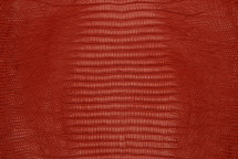 Lizard Skin Teju Matte Flame Red 20/24 cm