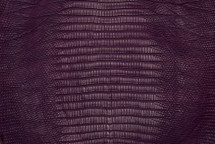 Lizard Skin Teju Matte Royal Purple 20/24 cm