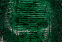 Lizard Skin Teju UB Glazed Kelly Green 20/24 cm