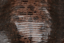 Lizard Skin Teju UB Glazed Taupe 20/24 cm