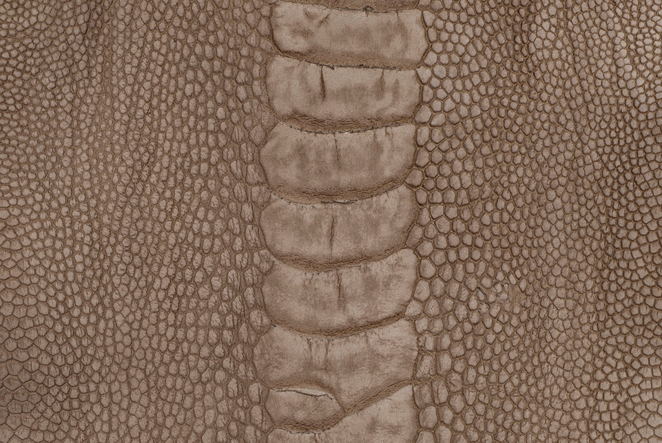 Ostrich Leg Wallet With Bison Leather Interior