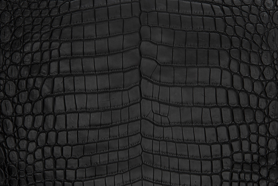 croc skin