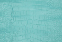 Alligator Skin Belly Matte Tiffany Blue 30/34 cm