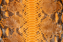 Python Skin Reticulated UB Lucido Tangerine
