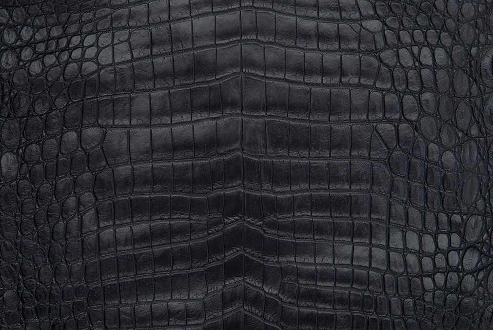 croc skin