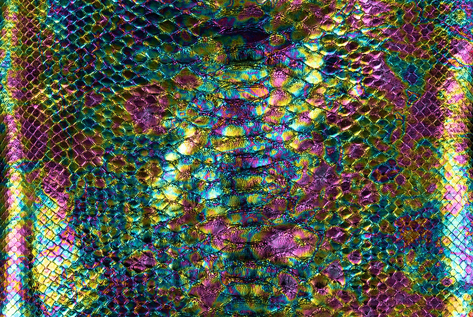 Python Skin Short-Tailed Black Pearl