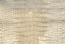 Alligator Skin Belly Crisp Gold 25/29 cm