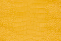 Alligator Skin Belly Matte Solar Yellow 25/29 cm