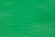 Alligator Skin Belly Matte Bright Green 25/29 cm