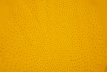 Ostrich Skin Matte Lakers Yellow