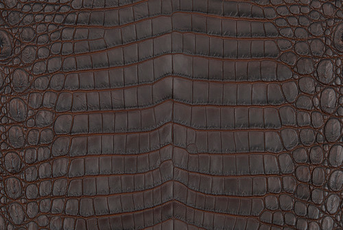 nile crocodile skin