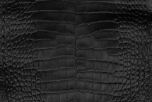 Alligator Skin Belly Ultramatte Black 25/29 cm