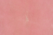 Stingray Skin Polished Pink 15"