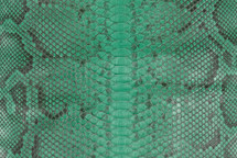 Python Skin Burmese UB Millenium Elm Green