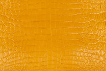 Nile Crocodile Skin Belly Millenium Yellow 30/34 cm