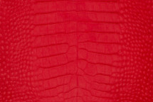 Alligator Skin Belly Suede Red 40/44 cm
