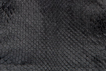 Anaconda Skin Glazed Black 16/19 cm