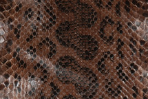 Anaconda Skin Unbleached Glazed Stout 16/19 cm