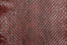 Anaconda Skin Unbleached Matte Russet Brown 16/19 cm