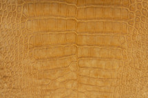 Alligator Skin Belly Suede Wheat 30/34 cm
