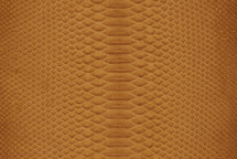 Python Skin Short-Tailed Suede Wheat