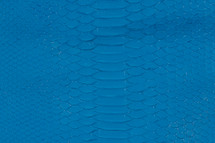 Python Skin Short-Tailed Matte Indigo Bunting Blue