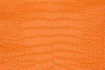 Alligator Skin Belly Matte Oriole Orange  30/34 cm