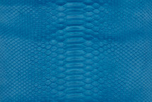 Python Skin Short-Tailed Matte Tarheel Blue