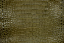 Alligator Skin Belly Matte Olive 25/29 cm